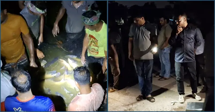 লক্ষ্মীপুরে সরকারি দিঘি খোয়াসাগর থেকে রাতের অন্ধকারে মাছ ধরা নিয়ে ভিডিও ভাইরাল