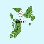 হাতিয়ায় সড়ক দুর্ঘটনায় নিহত ১
