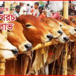 কোরবানি দেওয়া অনেকের সামর্থ্যের বাইরে